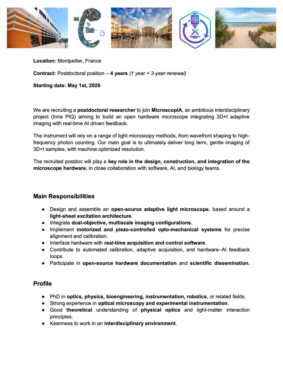 MorphoNet tweet media