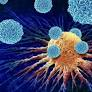 Chemistryaward's tweet image. Water pressure mechanism enables fast amoeboid cancer cell movement
More Information: research-chemistry.blogspot.com/2026/02/water-…
#sciencefather #researchchemistry #biochemistry #scientist #professor #phd #awards #tags #science