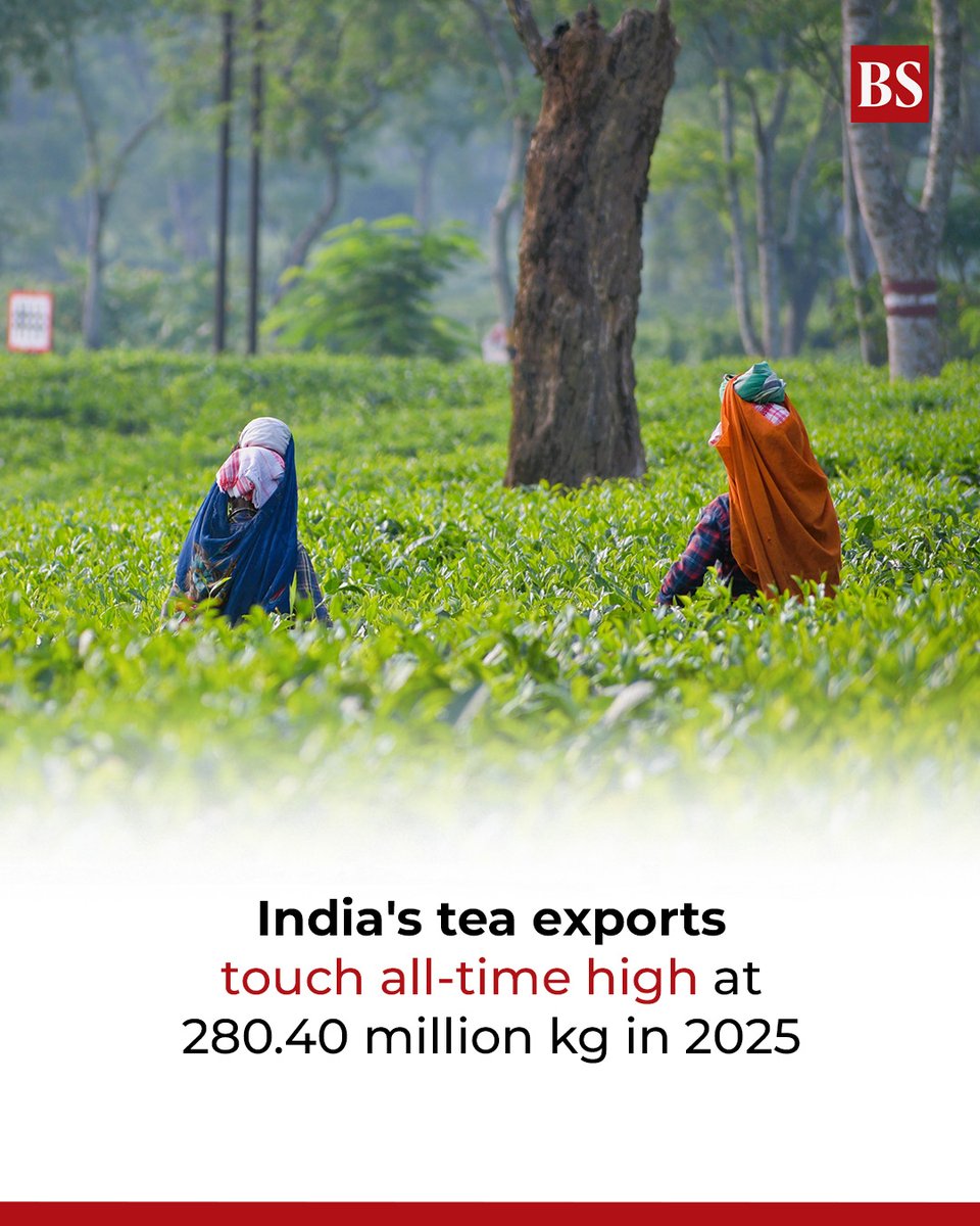 bsindia's tweet photo. India witnessed highest-ever tea exports in 2025 (280.40 million kg) due to strong buying from Iran and Iraq, besides a pickup in demand from China.
Details: https://t.co/uTPEjG4ams
#Tea #TeaProduction #TeaExports #TeaIndustry | @ishitaadutt https://t.co/n3BAKMXrZK
