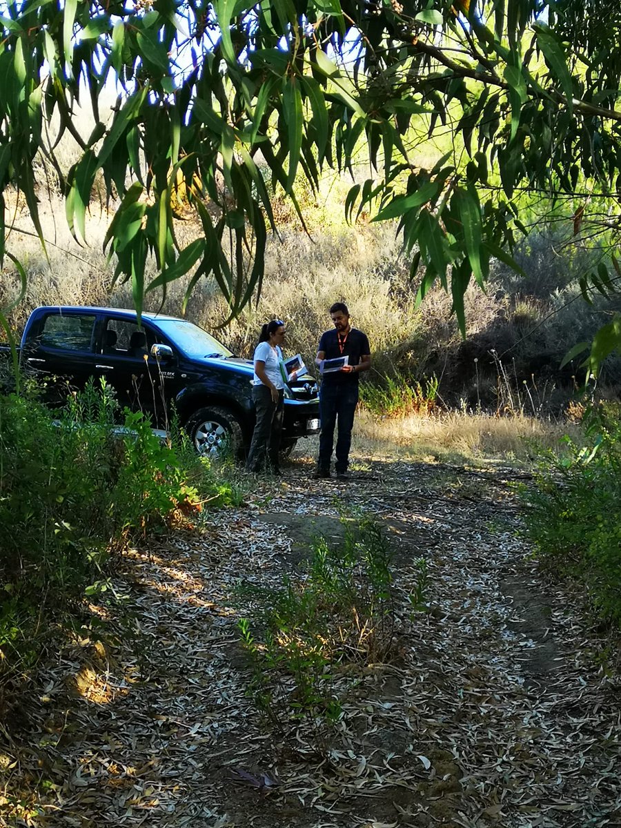 Axies Ventures tweet media