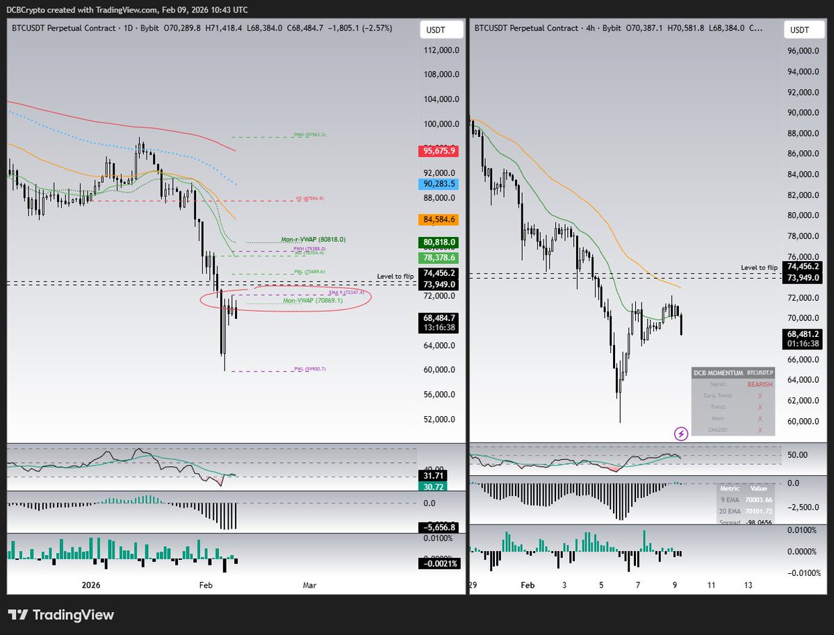 Dead Cat Bounce tweet media