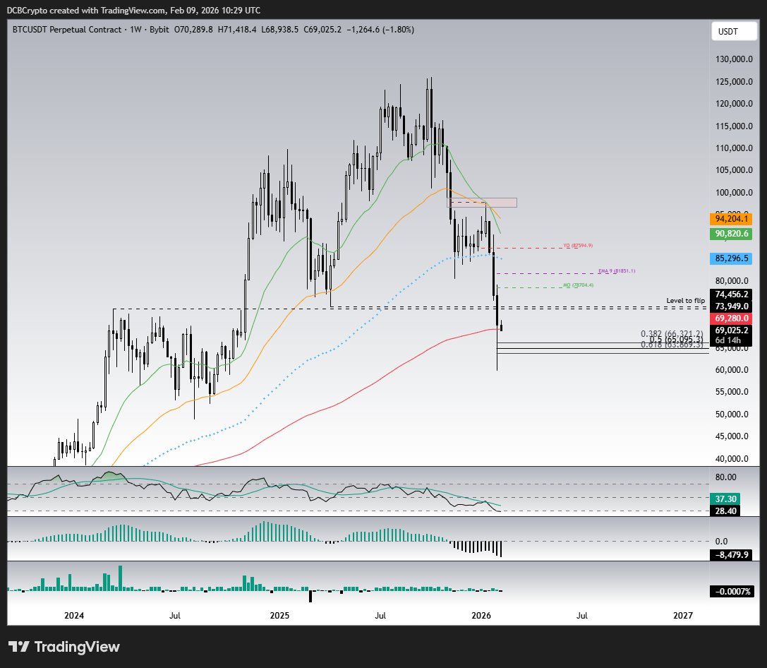 Dead Cat Bounce tweet media