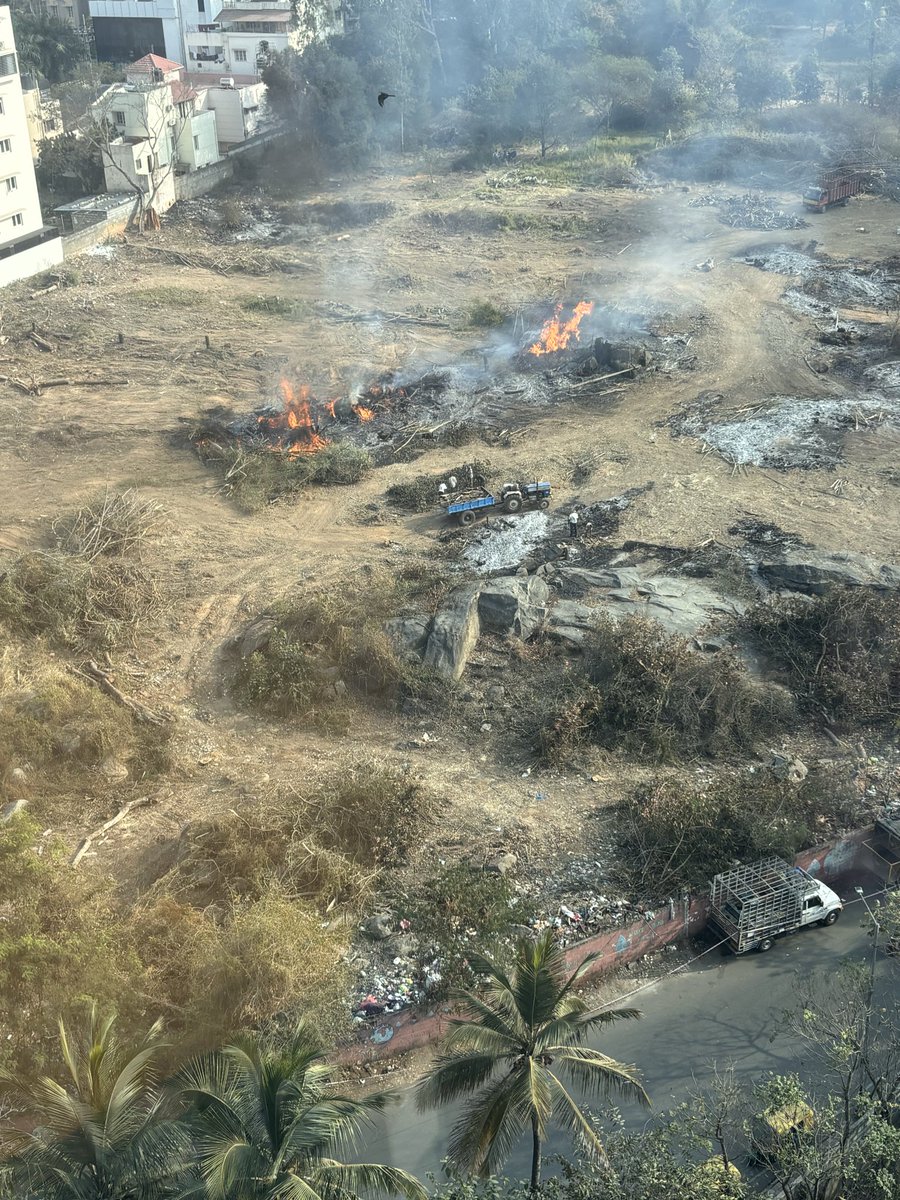 madhukar_s7's tweet photo. Jp nagar forest area is destroyed for unknown reason. 

#environment #jpnagar #Bangalore https://t.co/uiCagzqTwU