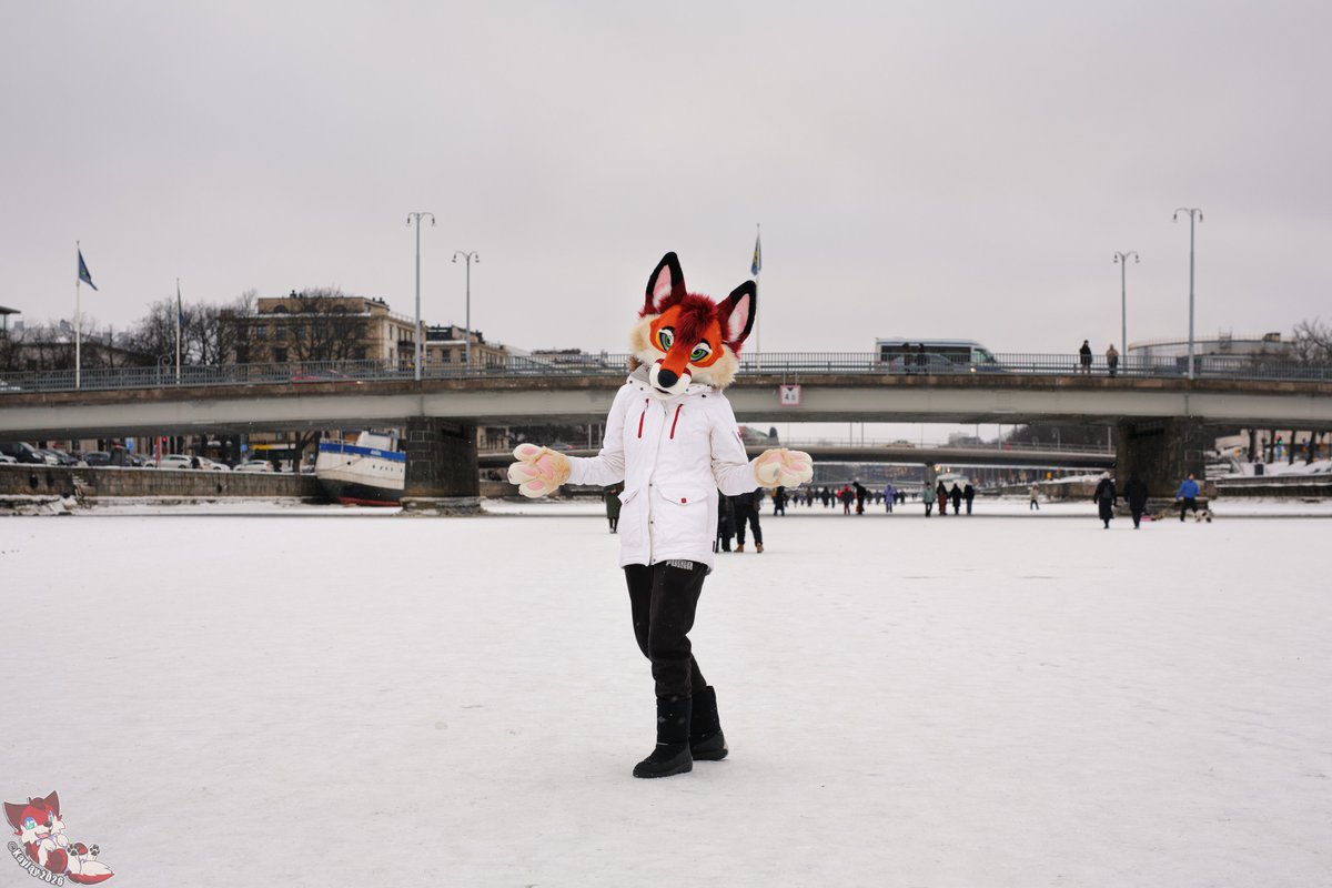 Nightless tweet media