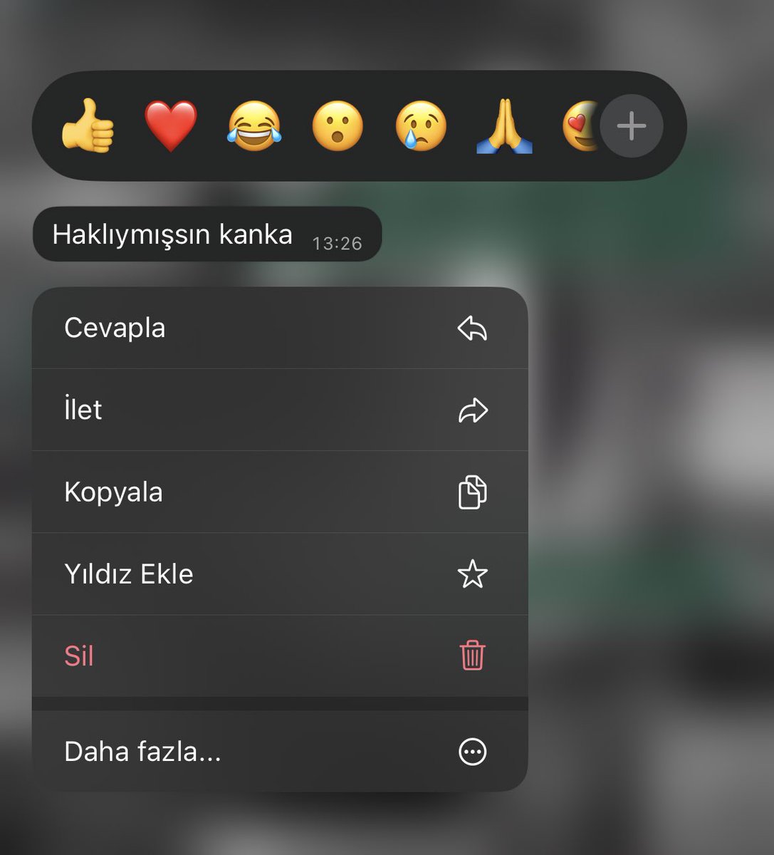 Bazen kanka sözü dinlemek uzun vadede hayat kurtarır