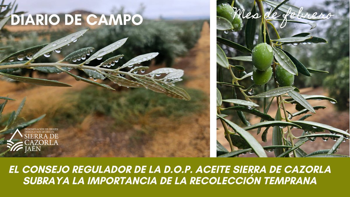 DOSierraCazorla tweet media