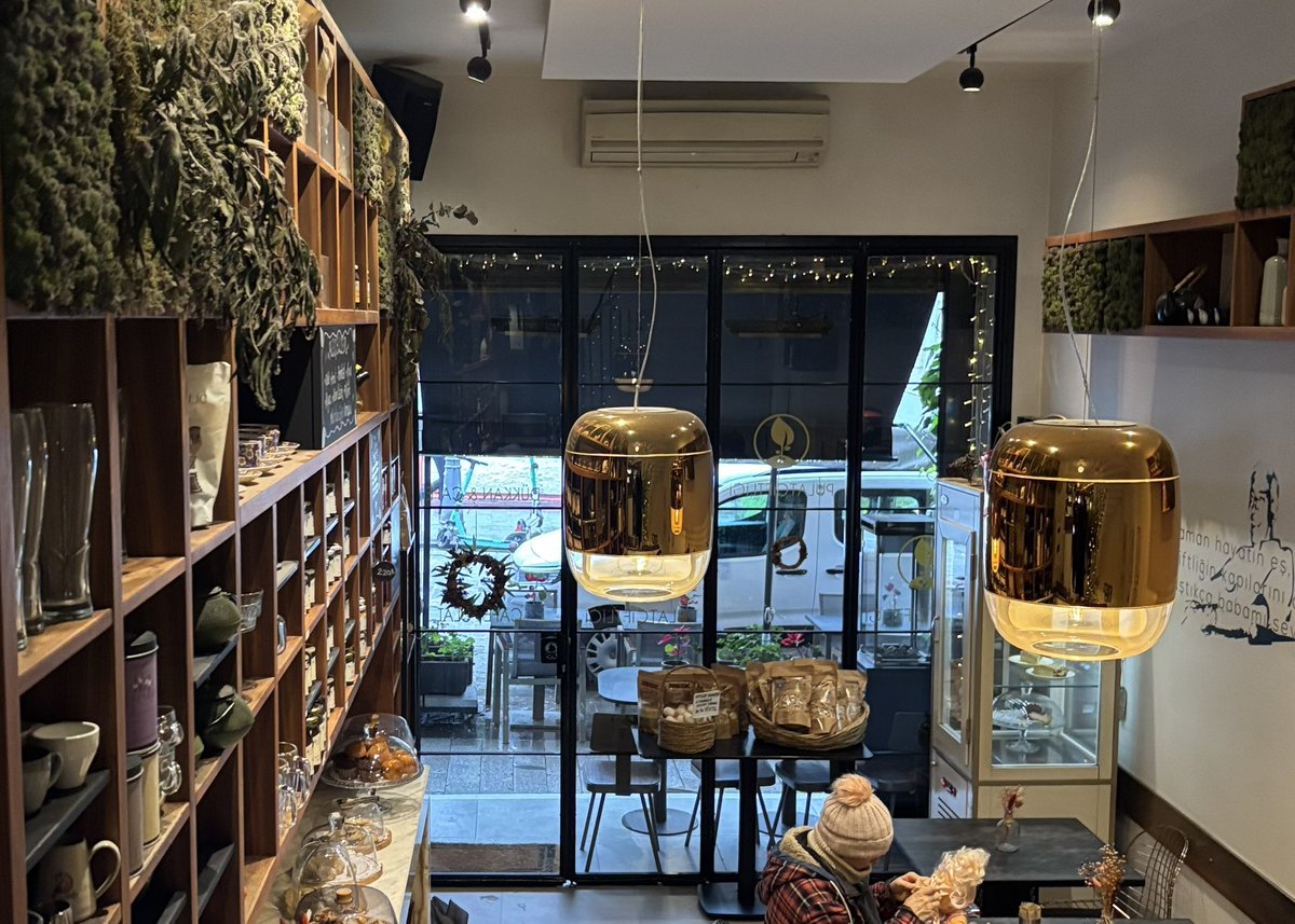 ravza sude tweet media