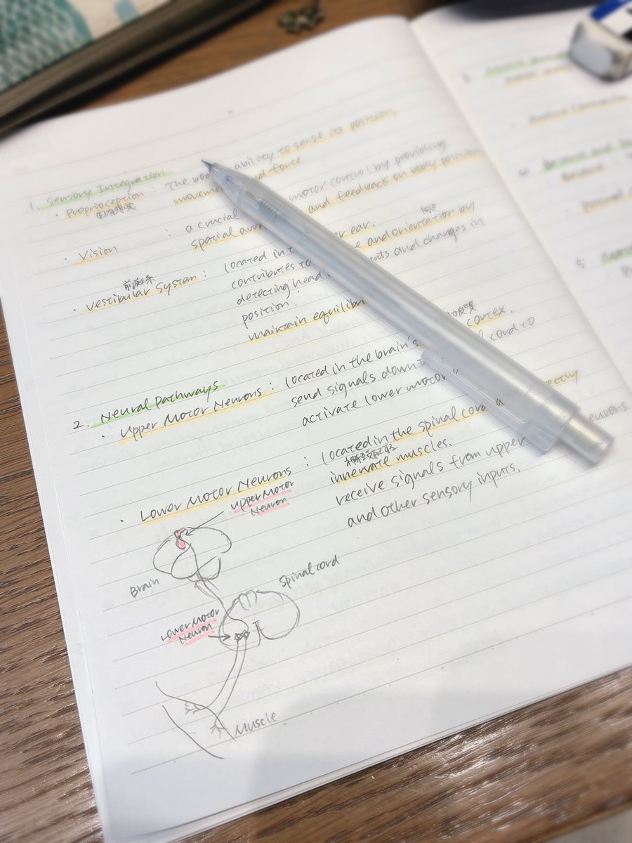 moca308's tweet image. 今日はダウンタウンにある病院の前にスタバで30分カフェ勉。
久々に図も描いて、こういうのあったねー！と懐かしくなる。

#study #kinesiology #college #勉強 #英語