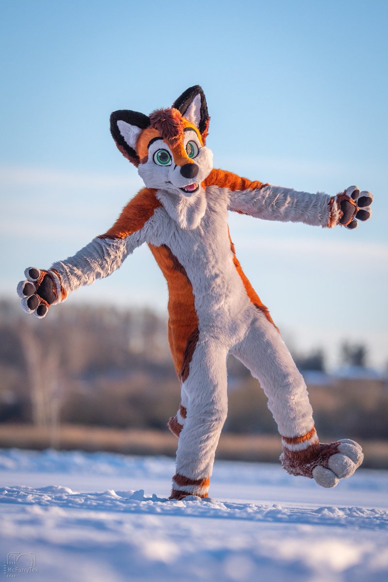 Tekie ❄️ tweet media