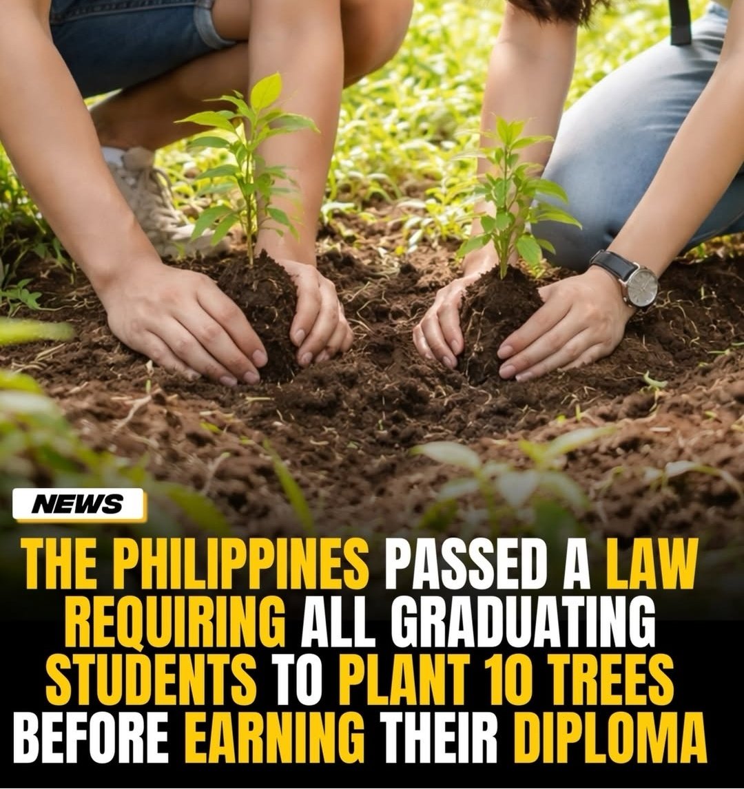 Incredible 👏👏👏