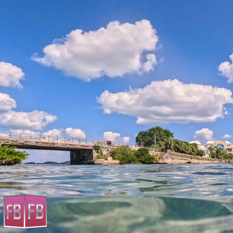 ForeverBermuda tweet media