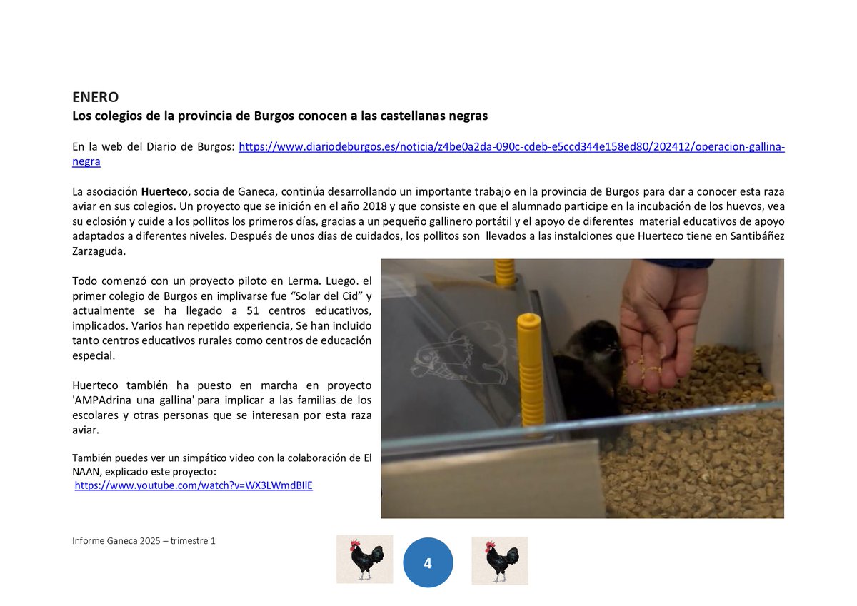 Huerteco1's tweet photo. 👏Estamos muy felices de ver a Huerteco y a nuestro ecoproyecto HOVO dentro de la memoria de actividades de @GanecaDe Un reconocimiento que nos llena de energía para seguir trabajando por la conservación de la Gallina Castellana Negra, una raza autóctona en peligro de extinción🖤 https://t.co/kdKV61KjfZ