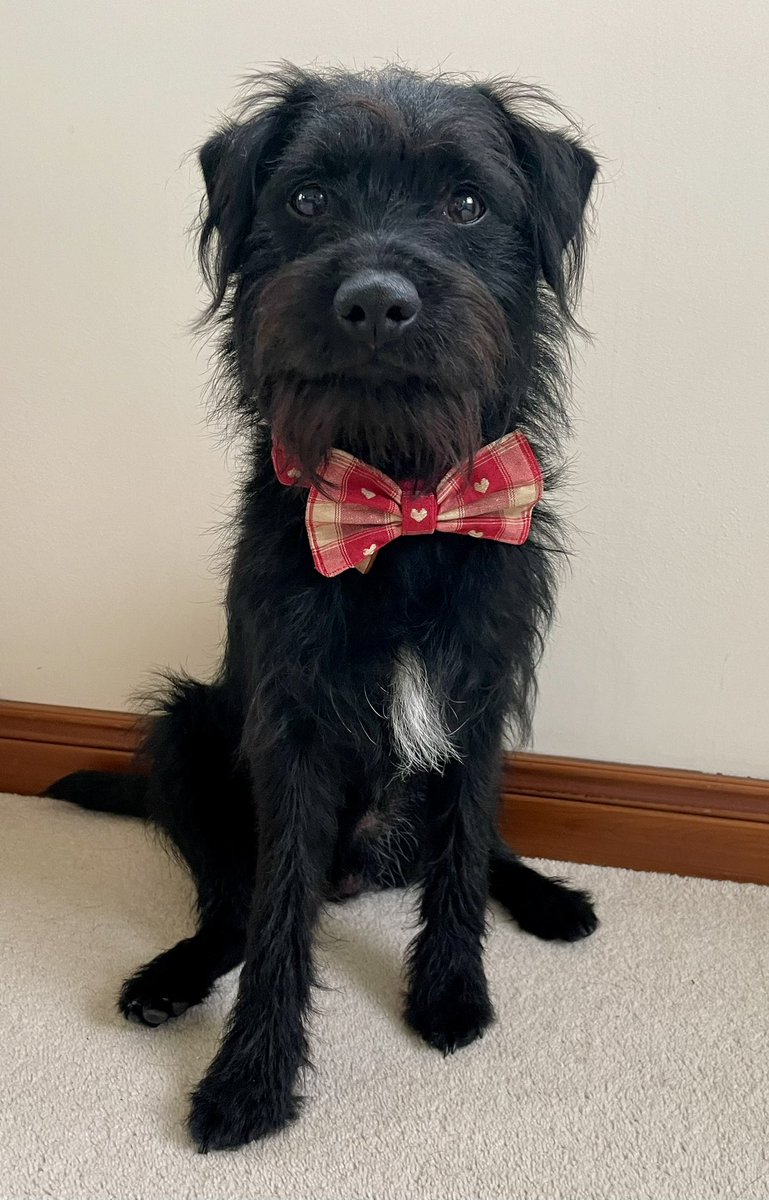 Adele and Rex (former staff to Monty🌈& Jilly🌈) tweet media