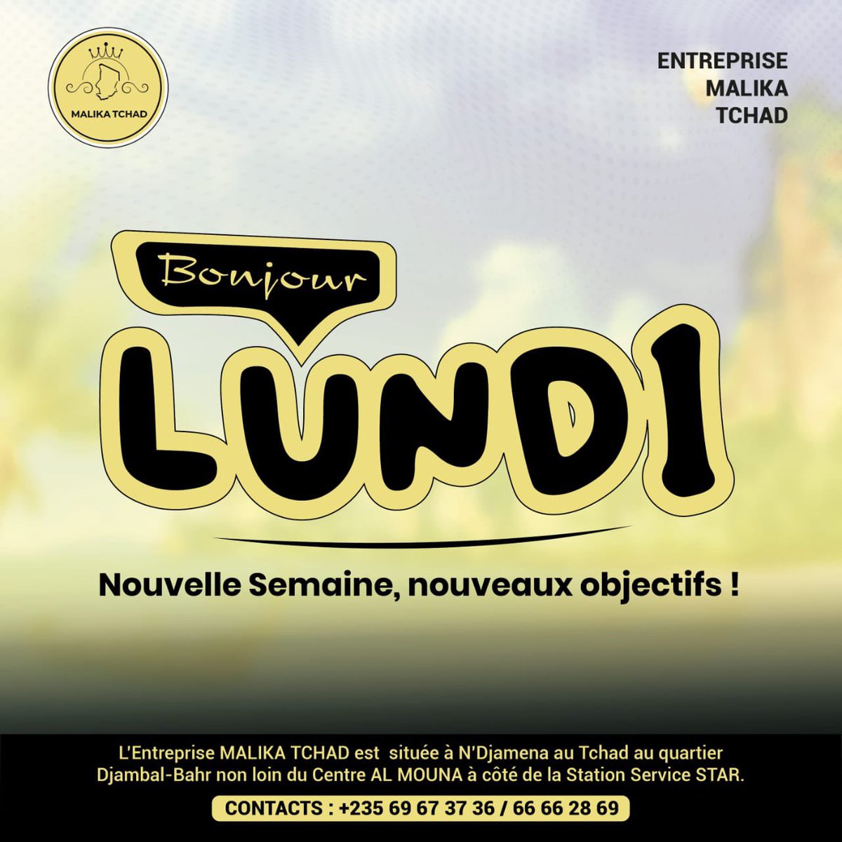 Malika Tchad tweet media