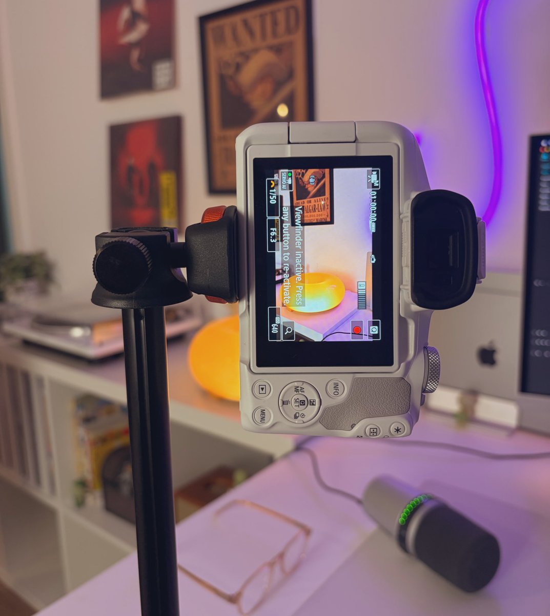 David Haz tweet media