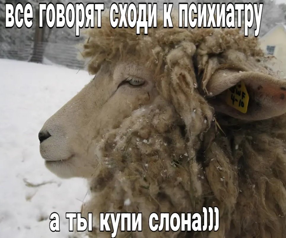 Вулик tweet media