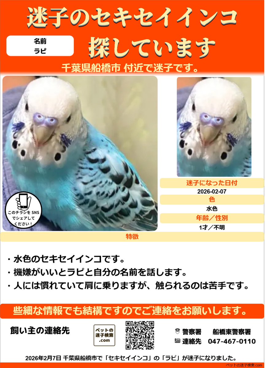 runkarunka (@runkarunka1) / Posts / X