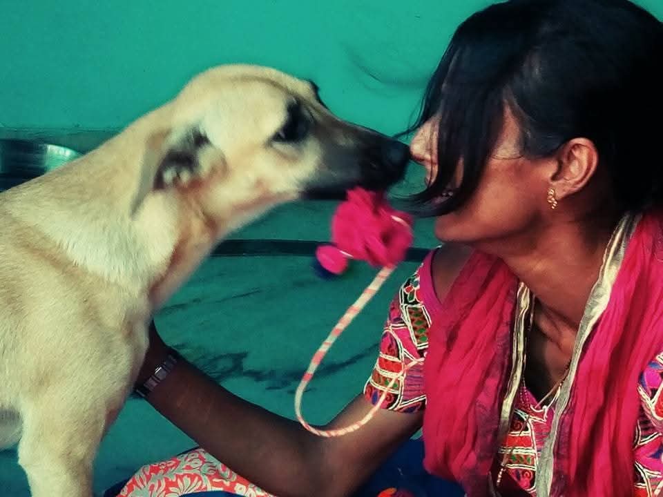 TheDogMother_'s tweet photo. मतलबी दुनिया में लोग अफ़सोस से कहते है कि, कोई किसी का नहीं.
लेकिन कोई यह नहीं सोचता कि हम किसके हुए!

#dogsarelove #dogsofX #dogs https://t.co/UEwK8aycbF