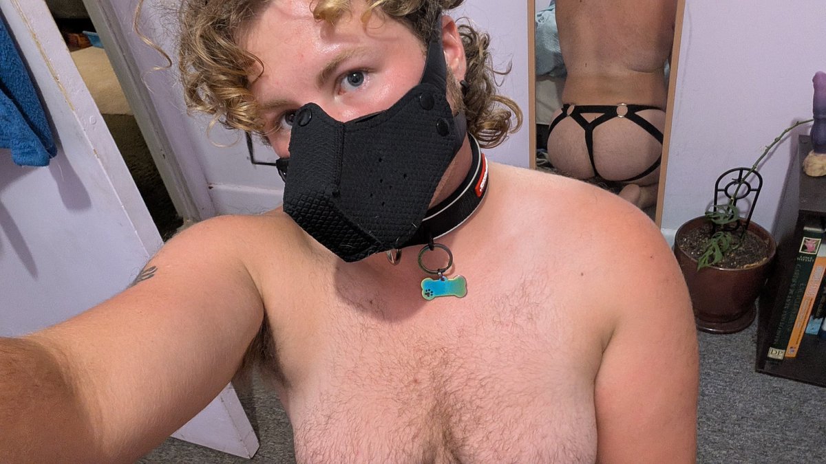 Looming_Shadows's tweet photo. Just a little puppy slut🐶 https://t.co/Xo7CqcVKQi
