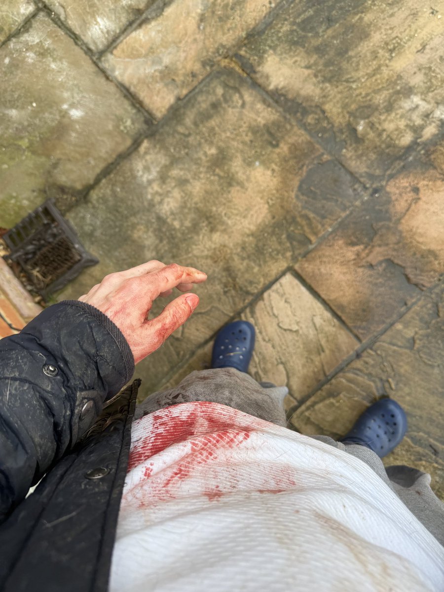 FPL Focal tweet media