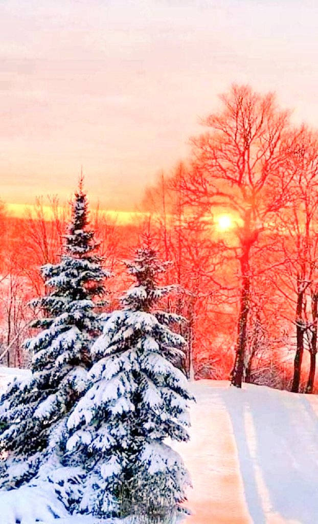 "Спасибо Жизнь за Все твои рассветы,
За повороты, Чудные часы,
За явные Волшебные сюжеты
И бесконечность Яркой полосы!

За каждый день, слова, признания, встречи,
За Исцеление раненной Души,
Спасибо Жизнь за этот Дивный вечер,
И дни, что несомненно Хороши!"
#СпасибоЖизнь!!!⚘🥰💖