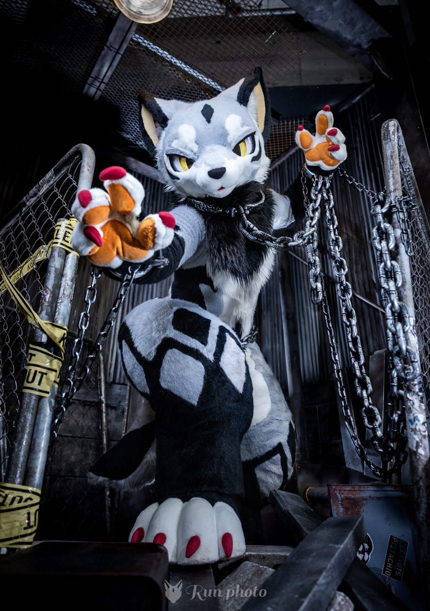 るん (Run) (@run_charizard) / Posts / X