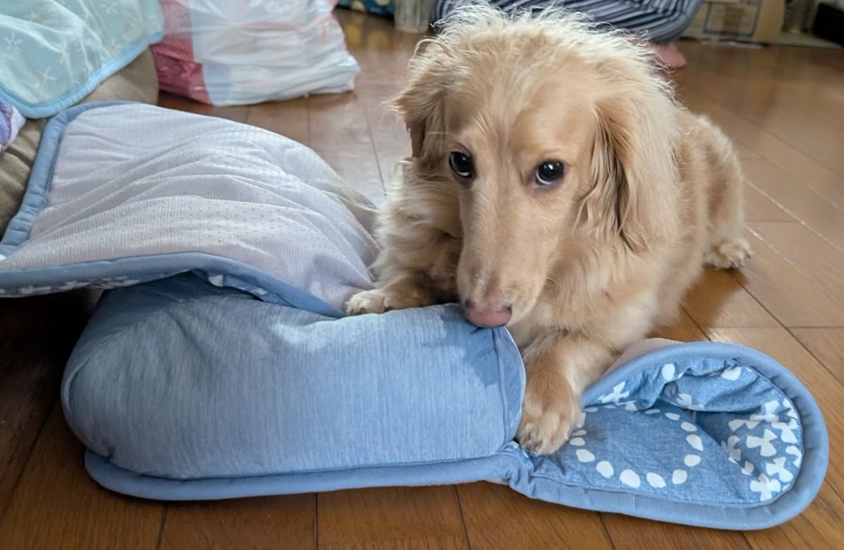 らきぐり tweet media