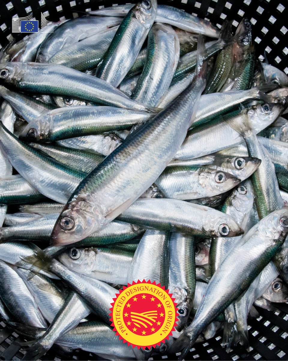 EUAgri's tweet photo. 🇪🇺🇸🇪New Protected Designation of Origin registered from Sweden:

Norrlandsströmming

is wild herring from Sweden’s Bothnian Sea.
Fried, smoked, pickled, or boiled, it’s a northern delicacy for everyday meals, perfect on buttered flatbread.
👉https://t.co/BL99VE8obA
#EUQuality https://t.co/qqH3nPsOlD