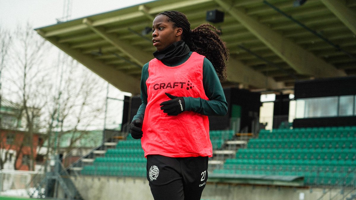 Hammarby Fotboll tweet media