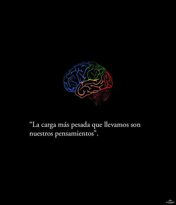 Escuela de Vida (@escueladevida21) on Twitter photo 