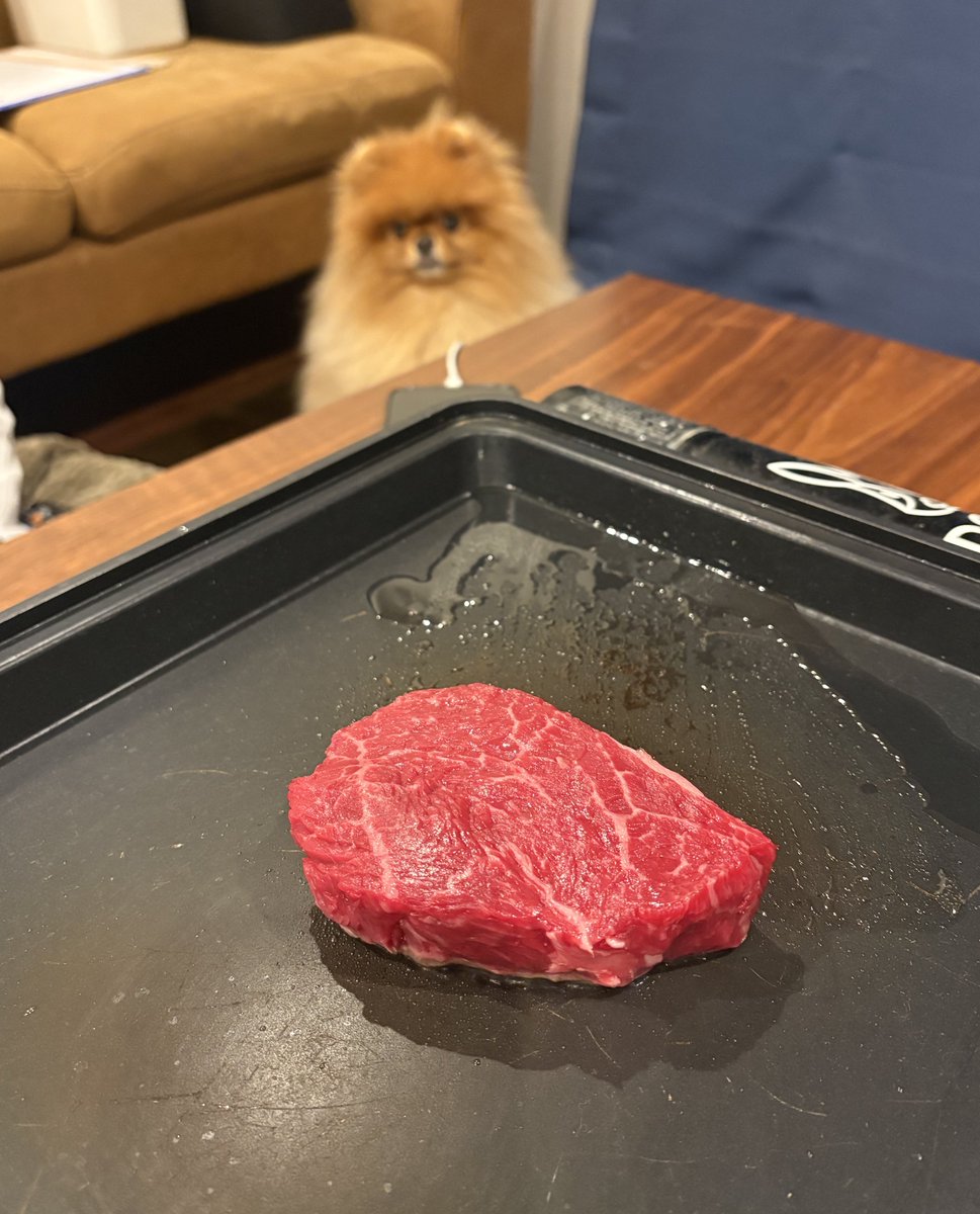 URI( ˊ̱˂˃ˋ̱ )🍊Level Ⅳ tweet media