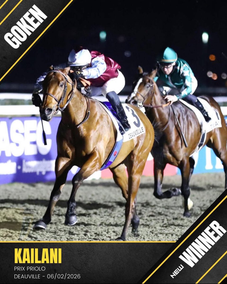 Haras de Colleville tweet media