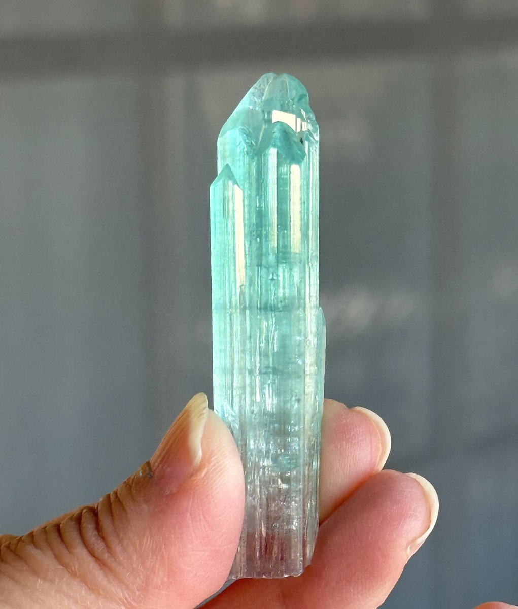 CRYSTAL STAGE tweet media