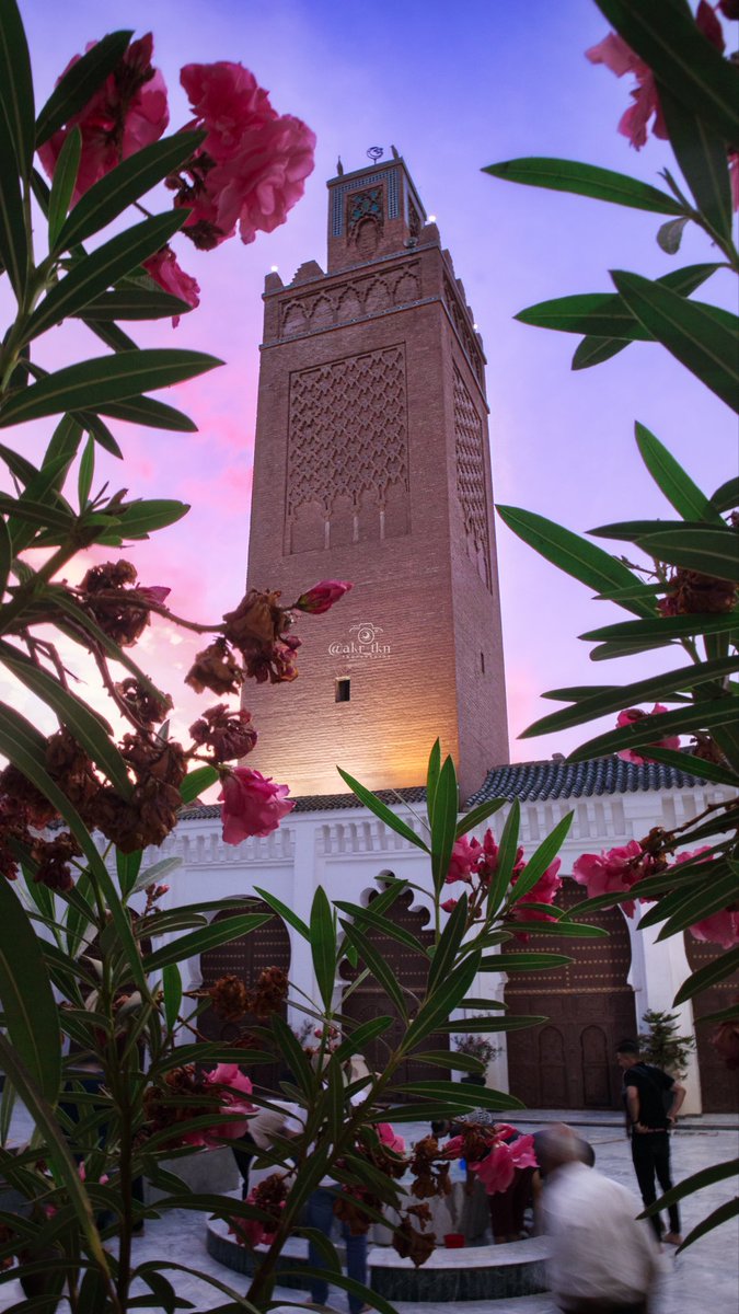 akr_tkn's tweet photo. 🇩🇿 L’Algérie met une tempête à une grande majorité de pays du monde niveau paysages mais vraiment !

Ce que j’ai photographié en une semaine : Sahara, Neige, Mer Méditerranée, Architecture Millénaire… https://t.co/6OL95ODE5n
