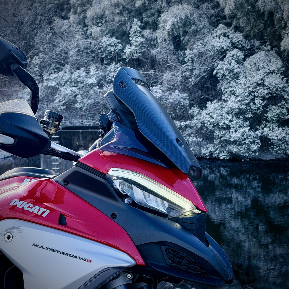 ばった tweet media