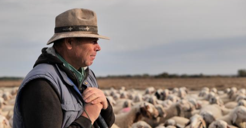 FBiodiversidad's tweet photo. 🐑 La ganadería extensiva y el pastoreo son aliados naturales para la gestión del territorio.

🌱Actúan como soluciones basadas en la naturaleza capaces de regenerar suelos, prevenir incendios, sostener economías locales y optimizar el uso de recursos hídricos.

#AdapteCCa

👇📽️