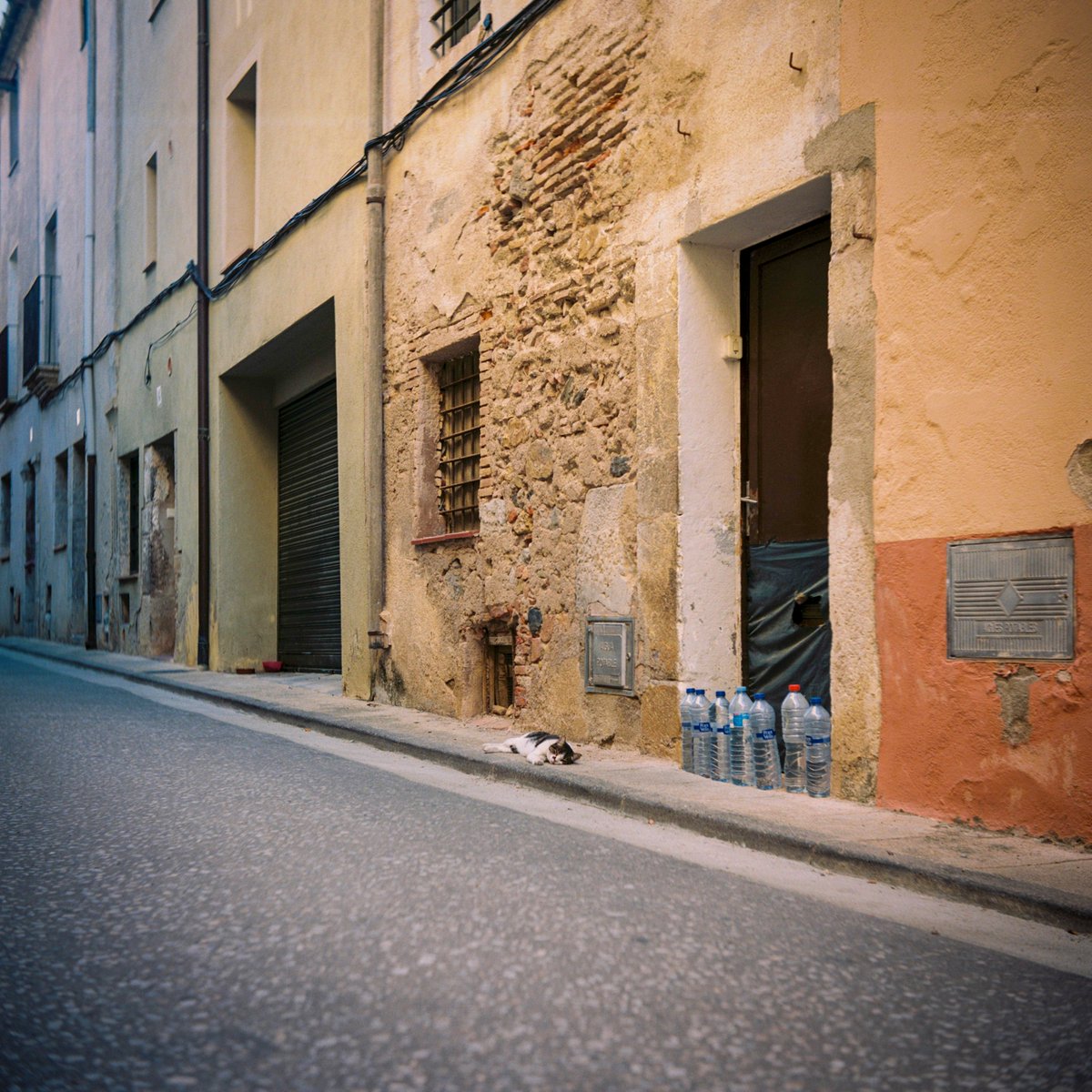 jordi_olot's tweet image. Per fi he revelat el parell de carrets de Portra 400 que havia disparat amb la Yashica A des de l'estiu passat. Molt content amb el resultat. Hi ha una sèrie de la meva filla que m'encanta però no sé si publicar-la.

#photography #mediumformat #analogue #kodakportra400 #yashicaa
