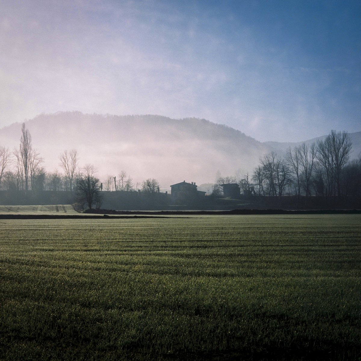 jordi_olot's tweet image. Per fi he revelat el parell de carrets de Portra 400 que havia disparat amb la Yashica A des de l'estiu passat. Molt content amb el resultat. Hi ha una sèrie de la meva filla que m'encanta però no sé si publicar-la.

#photography #mediumformat #analogue #kodakportra400 #yashicaa