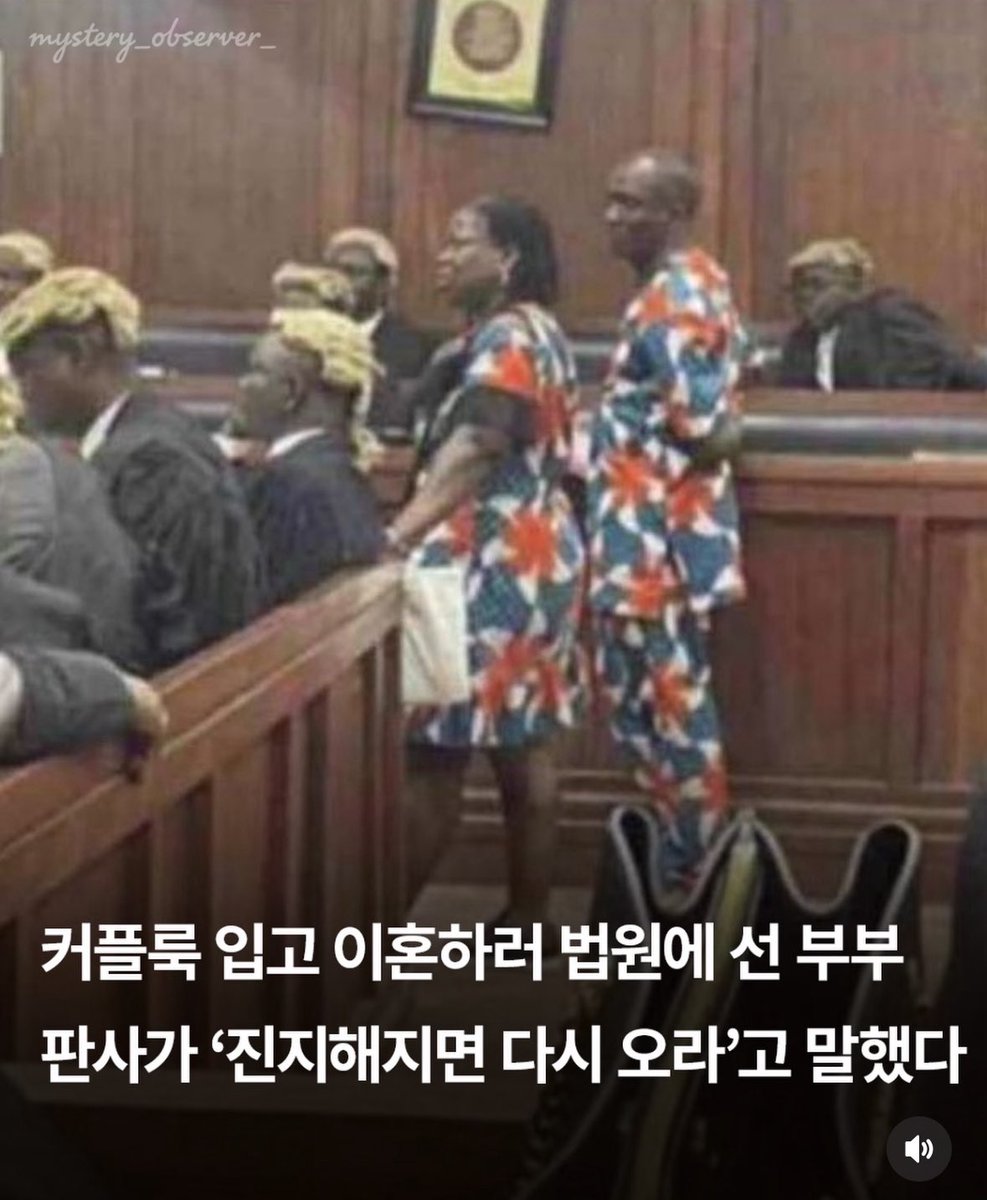 haenek0's tweet image. 쭈네코