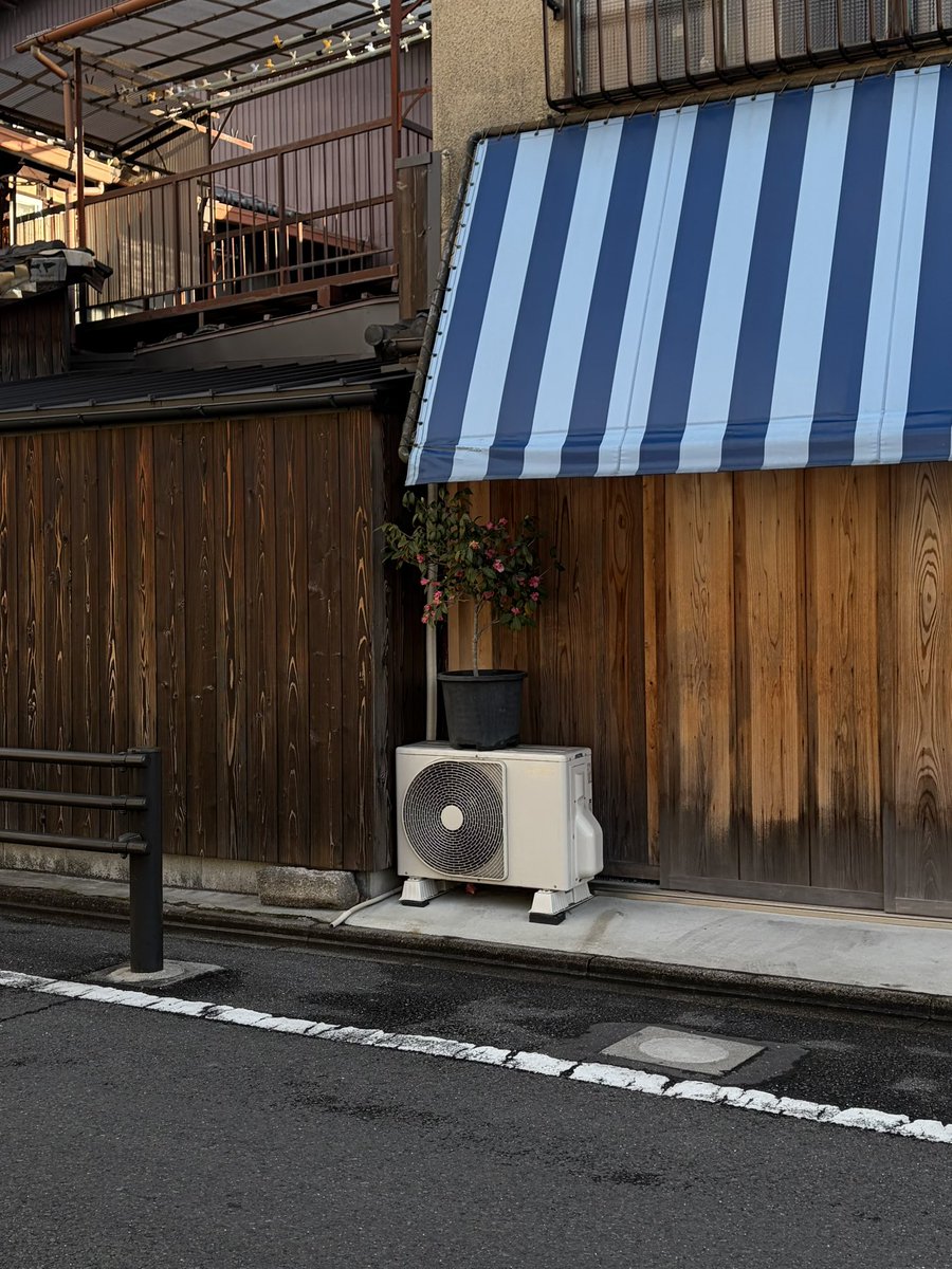 霧 tweet media