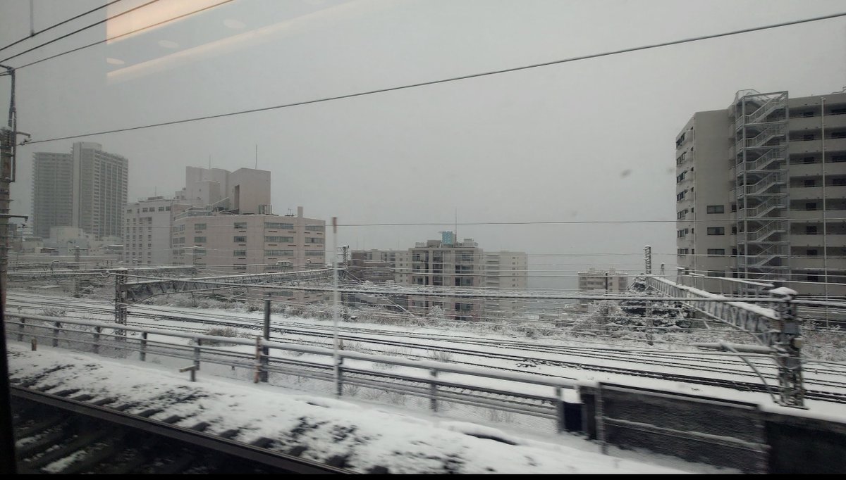 morimorimoz's tweet photo. って思ったら熱海でこれでした… https://t.co/rGTovVhN7N
