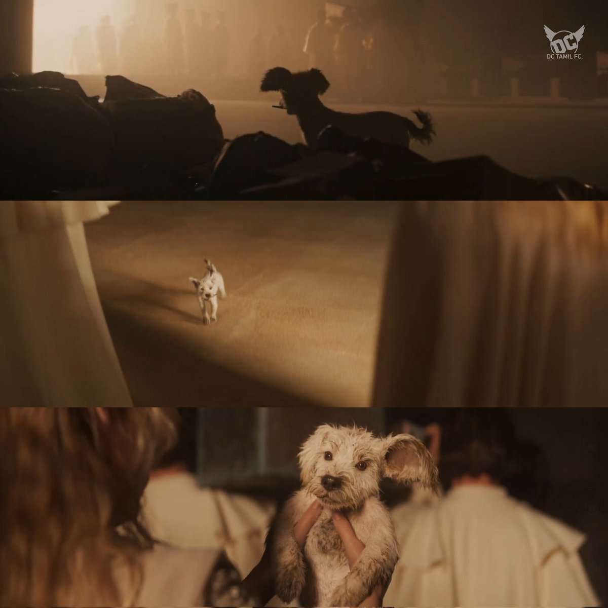♥️🐕 Baby Krypto from ‘#Supergirl - Home’ Teaser, released during Puppy Bowl Event. 

#Supergirl | #MillyAlcock | #CraigGillespie | #JunkieXL | #DCStudios | #JamesGunn