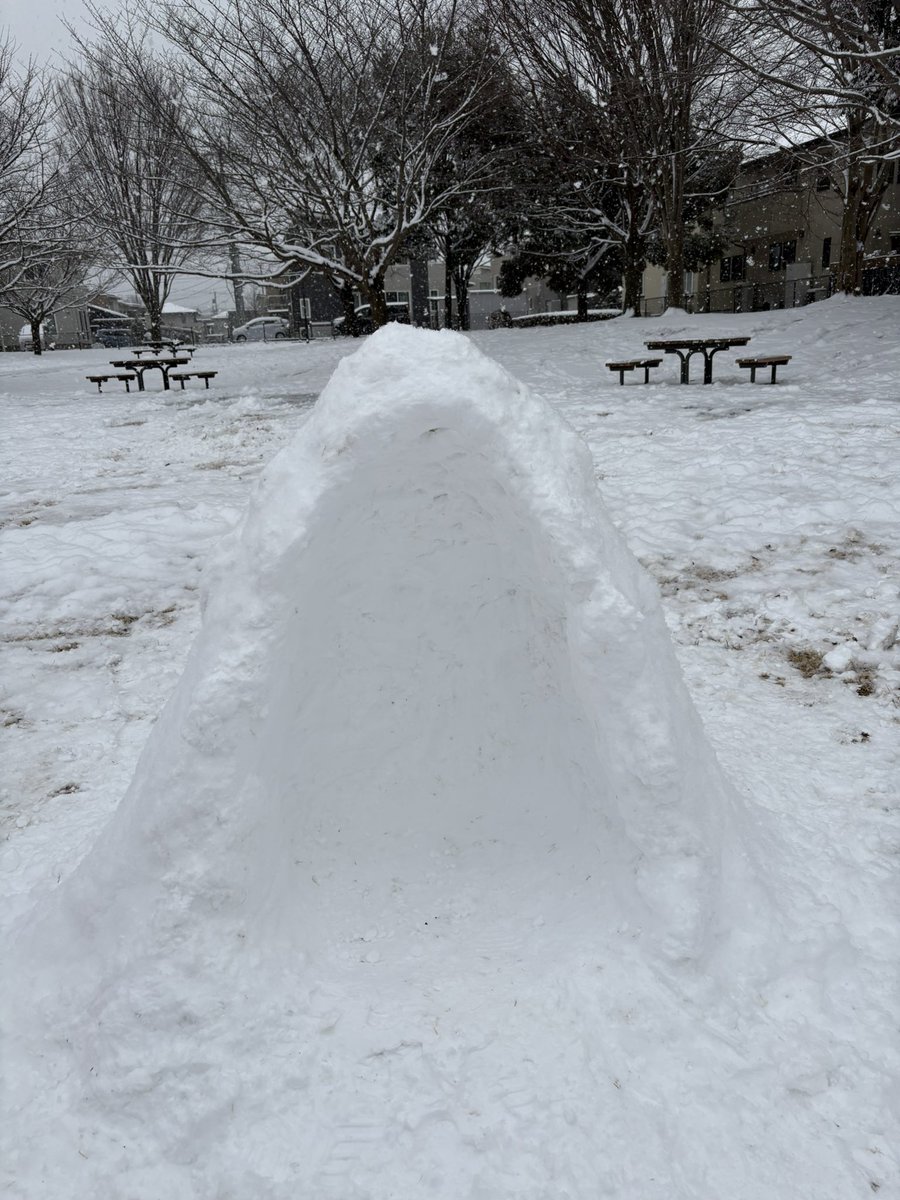 thinking_hiro's tweet image. 2026年2月8日(日)

#雪

#かまくら

家族4人の傑作！（近所の子供達多数助っ人）