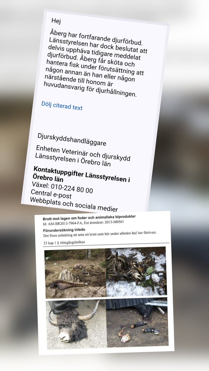 Bomben tweet media