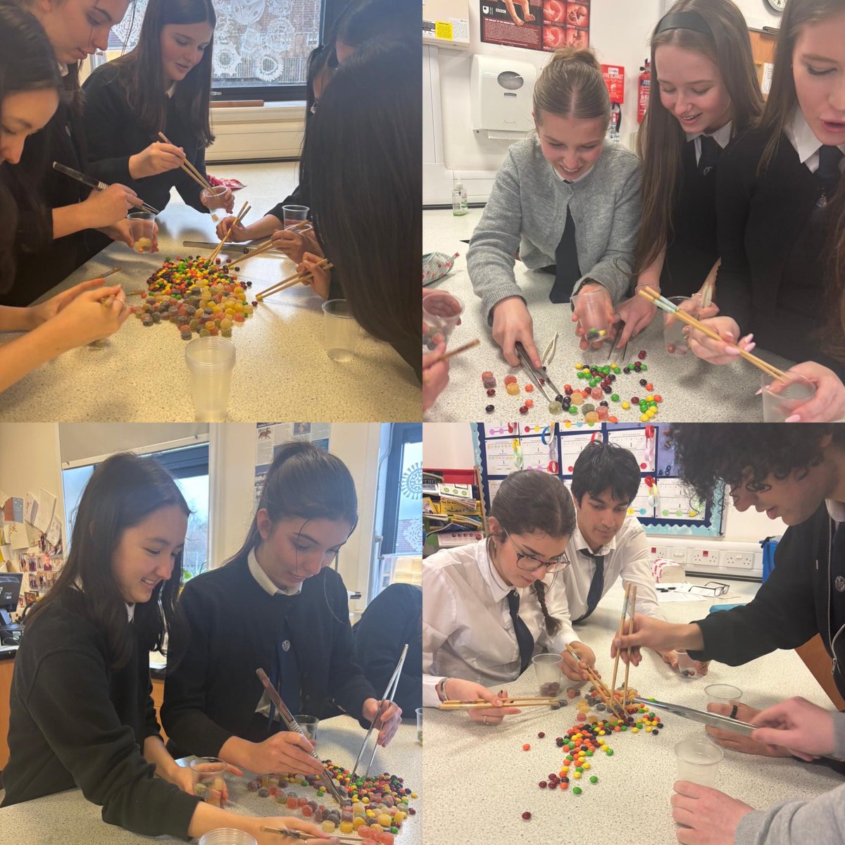 Science - Douglas Academy tweet media