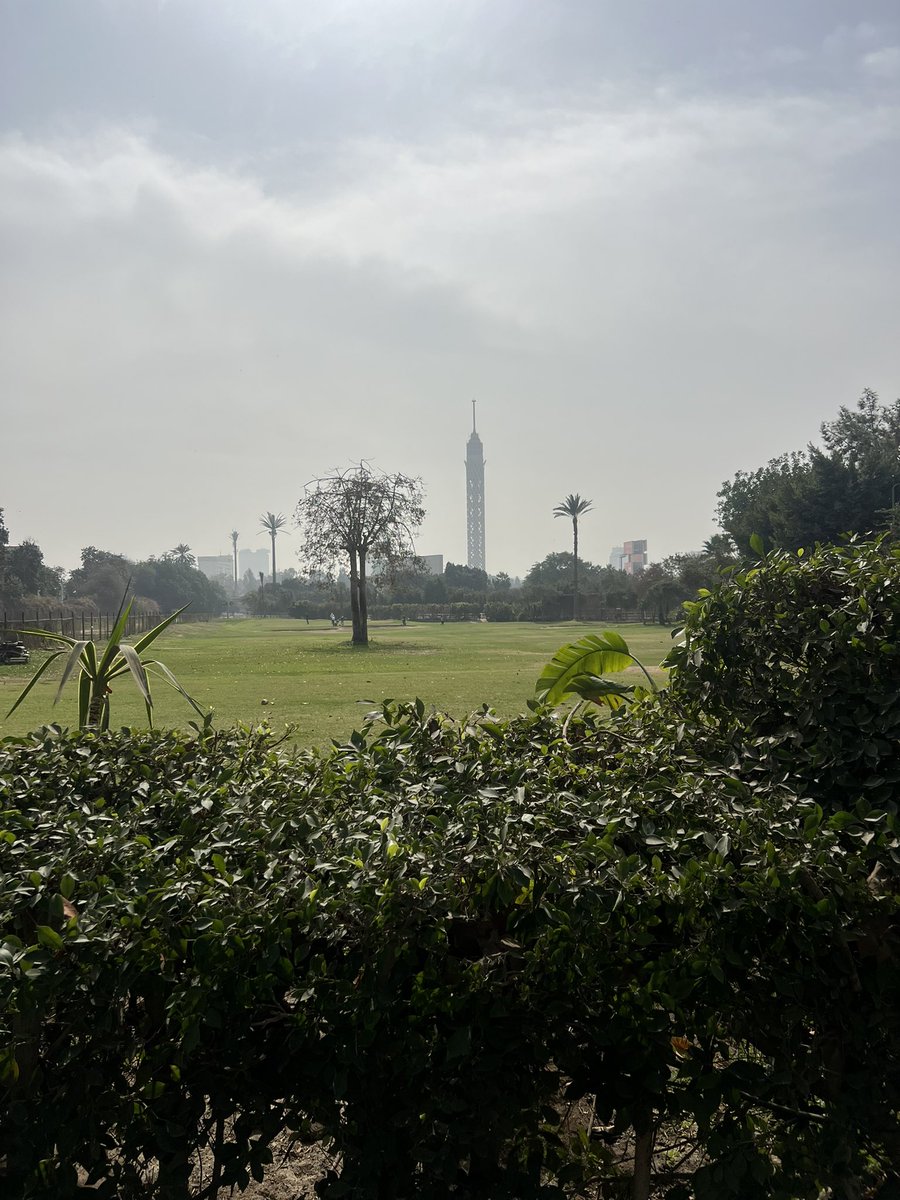 Laila Farid tweet media