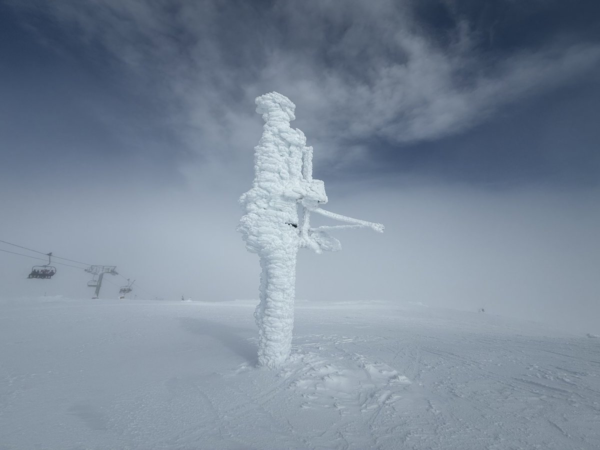 Lo Xic de Feliciano ⭑X tweet media