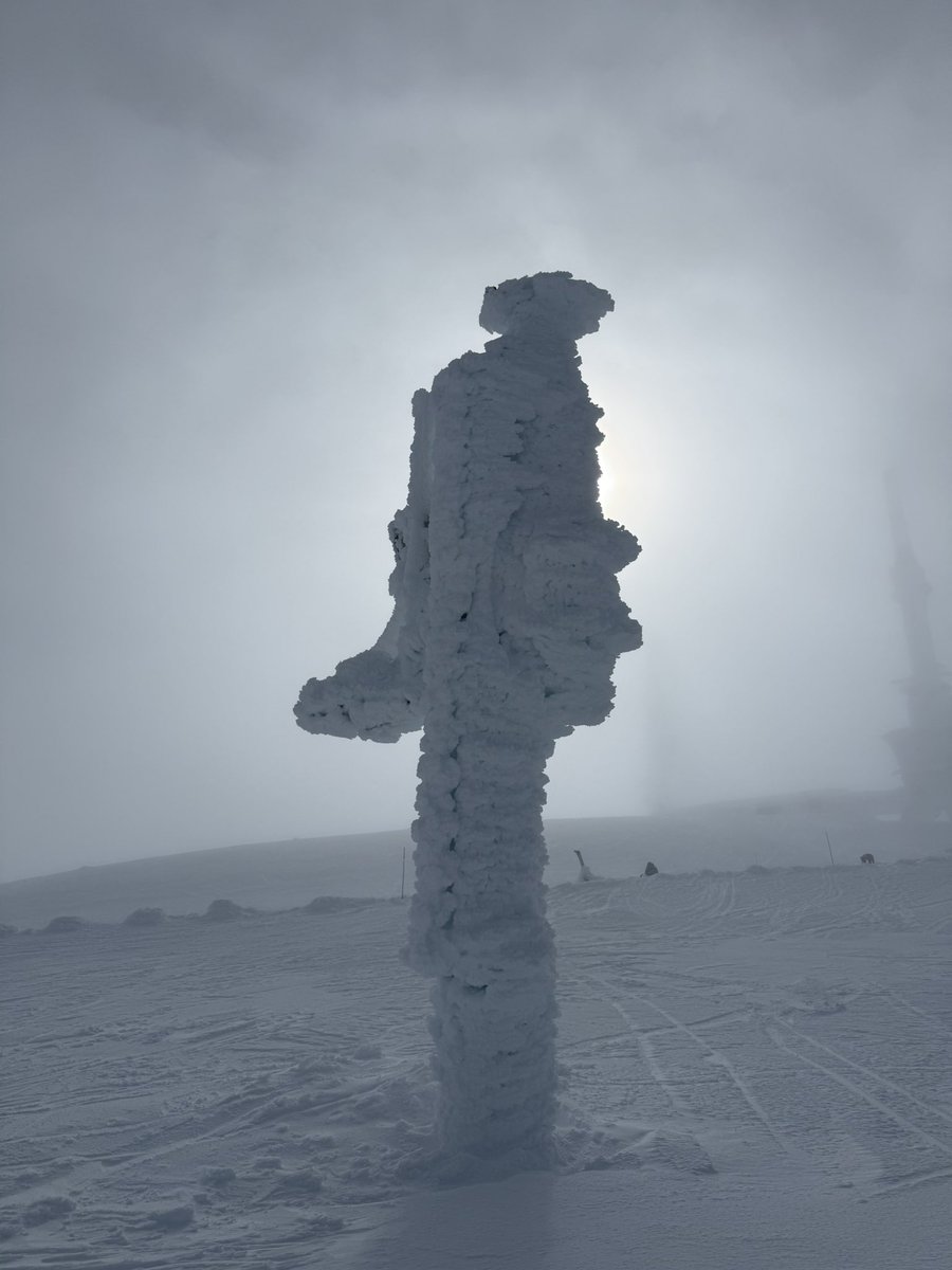 Lo Xic de Feliciano ⭑X tweet media