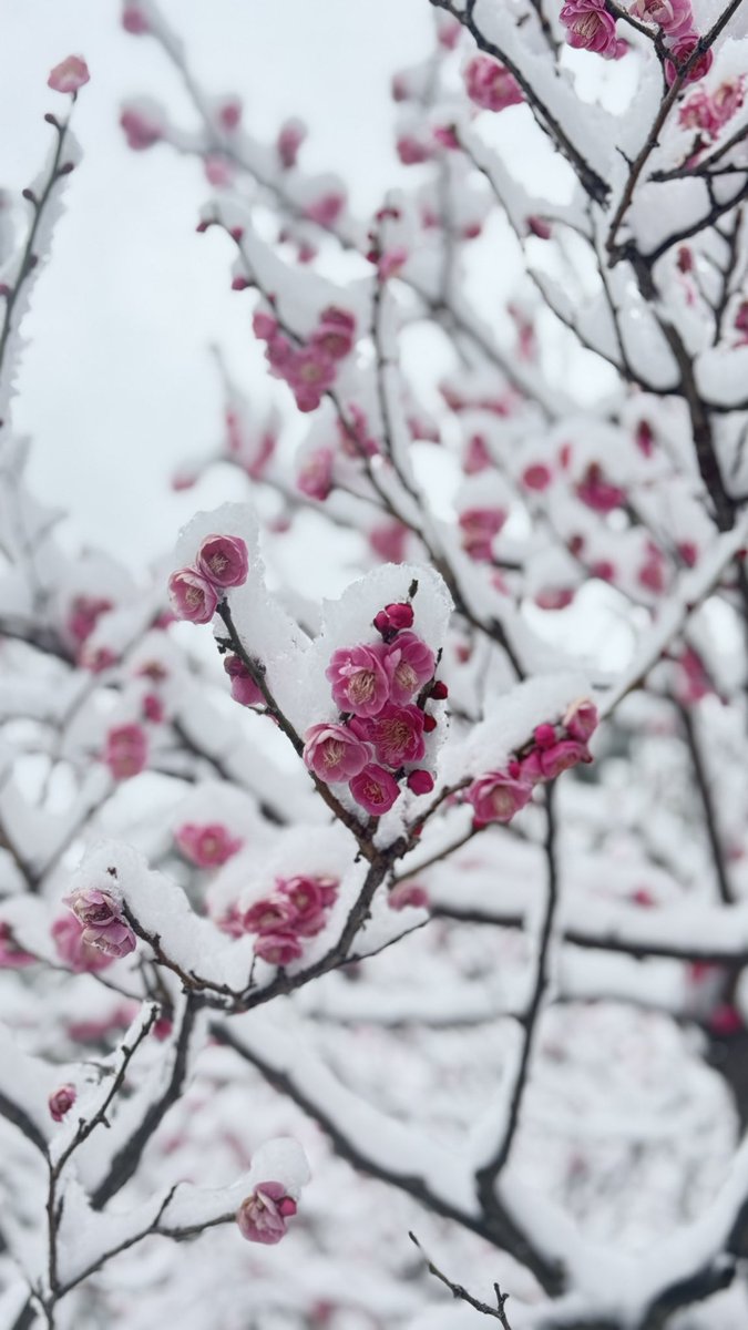 greg 🔜Hi-Furry tweet media