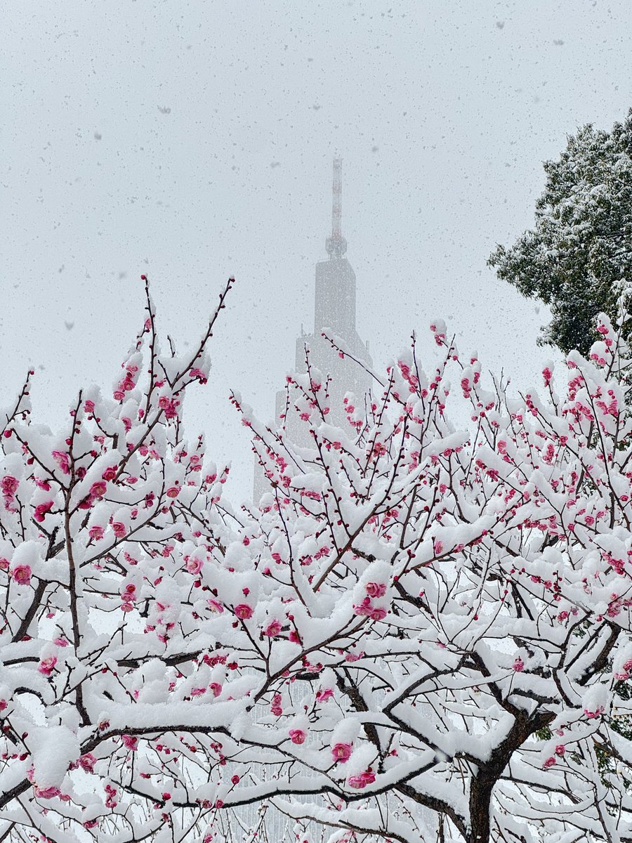 greg 🔜Hi-Furry tweet media